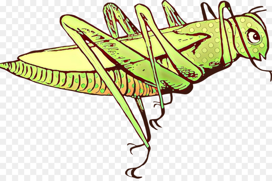 insect leaf grasshopper line art emperor moths