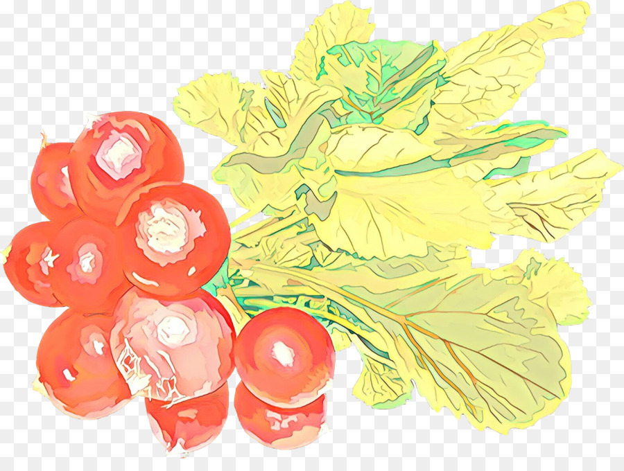 Obst Traubenpflanze Lebensmittel Vitis - 