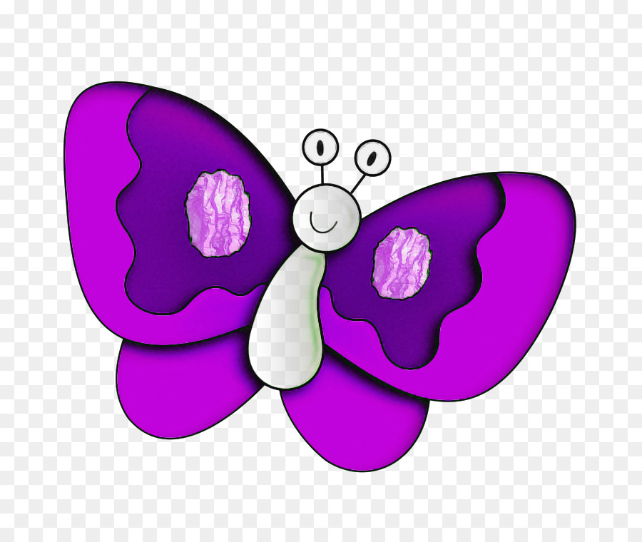 Schmetterling violett lila Motten und Schmetterlinge Insekt - 