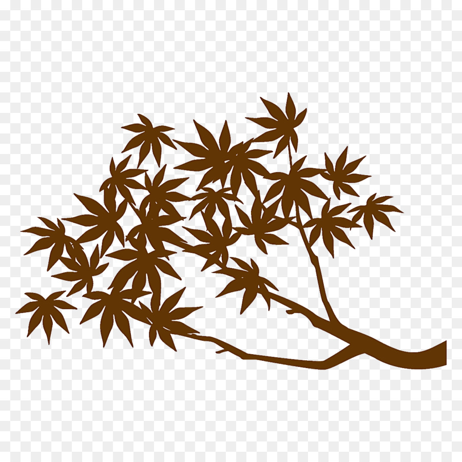 ramo di acero foglie di acero albero di autunno - 