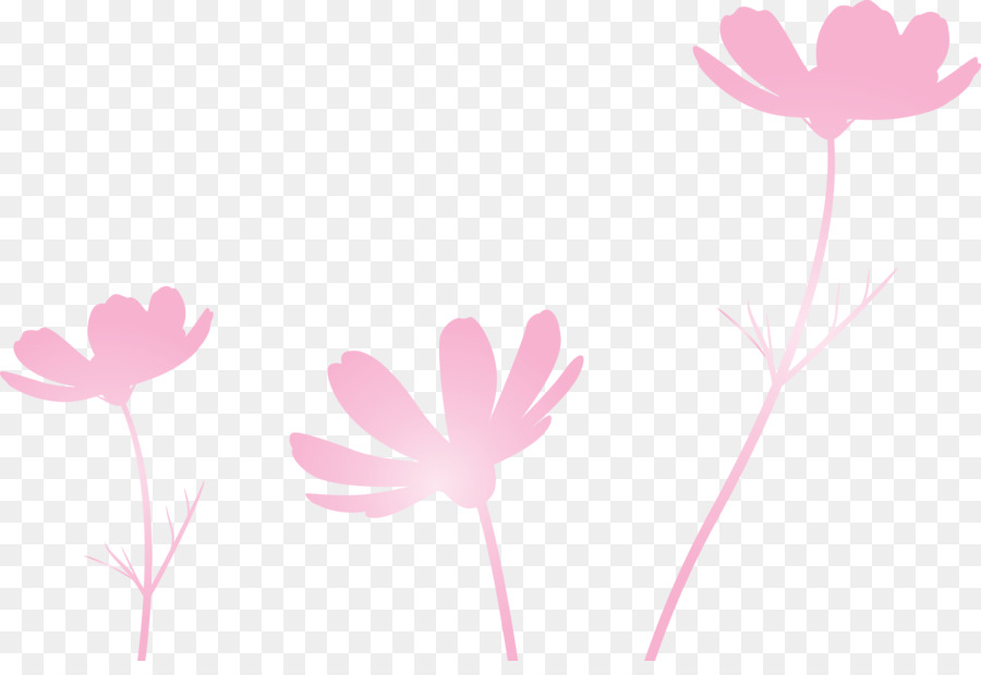 Frühlingsblume Frühlingsblumenrosa Blumen - 