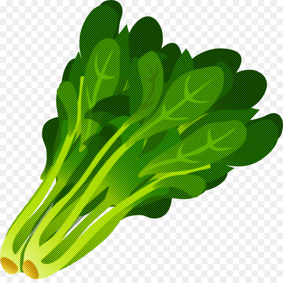 green vegetable leaf vegetable leaf plant