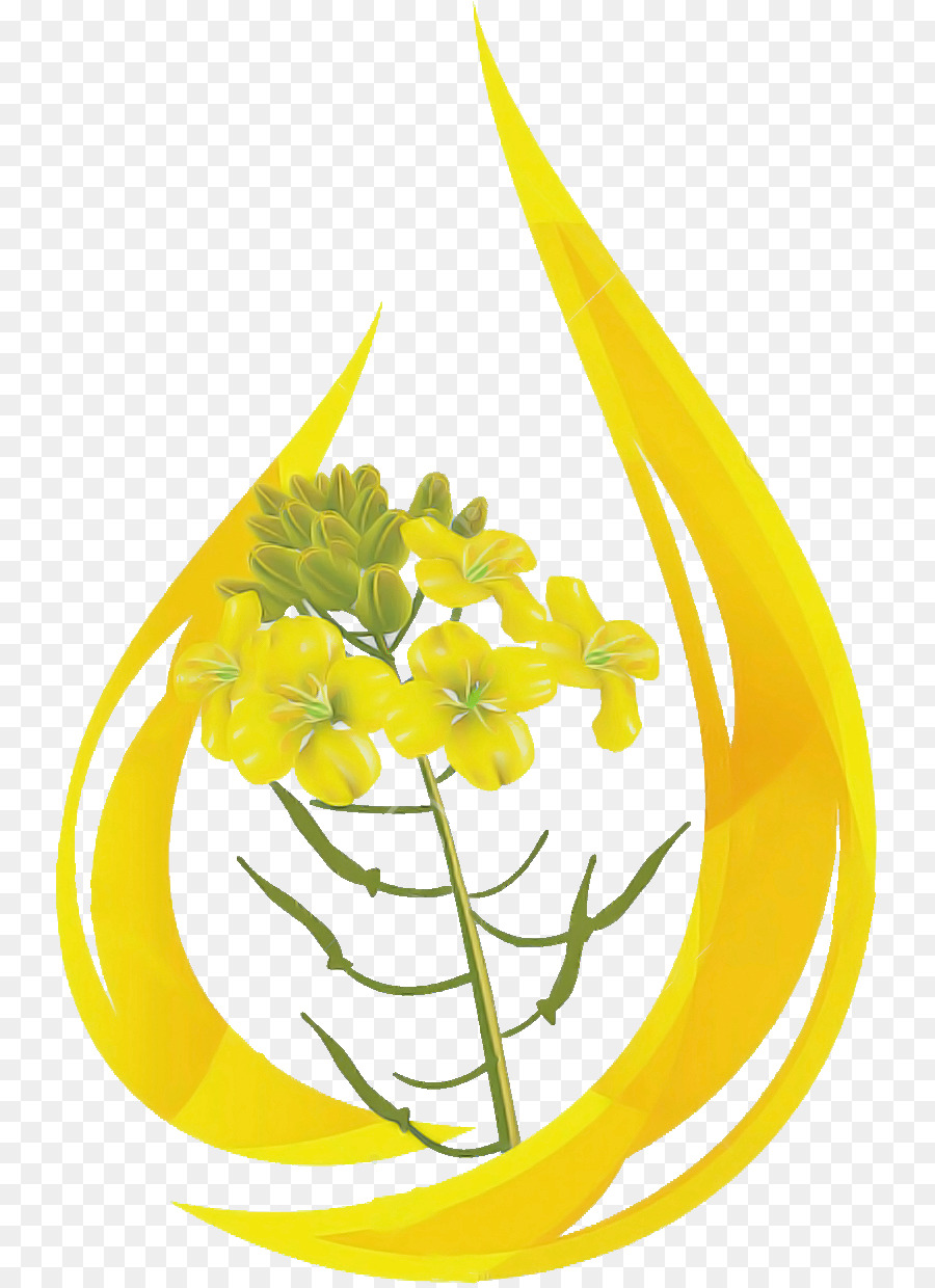 yellow flower plant cut flowers ylang-ylang