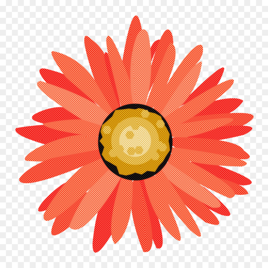gelbe Blume Gerberablumenblattanlage - 