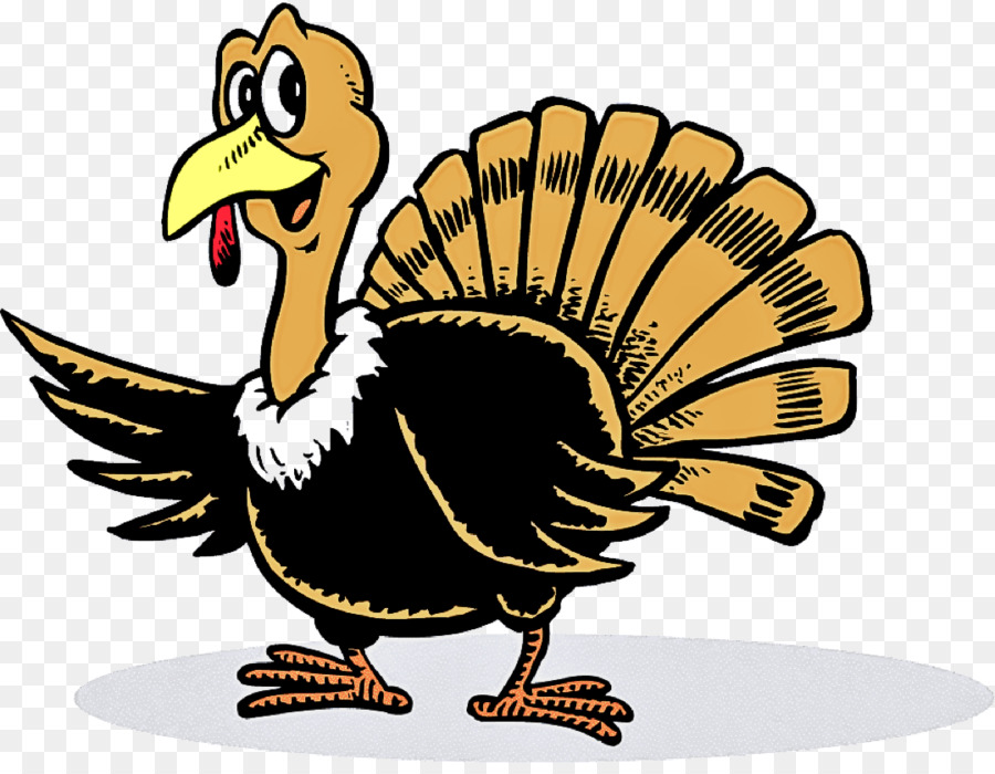 bird turkey beak cartoon flightless bird