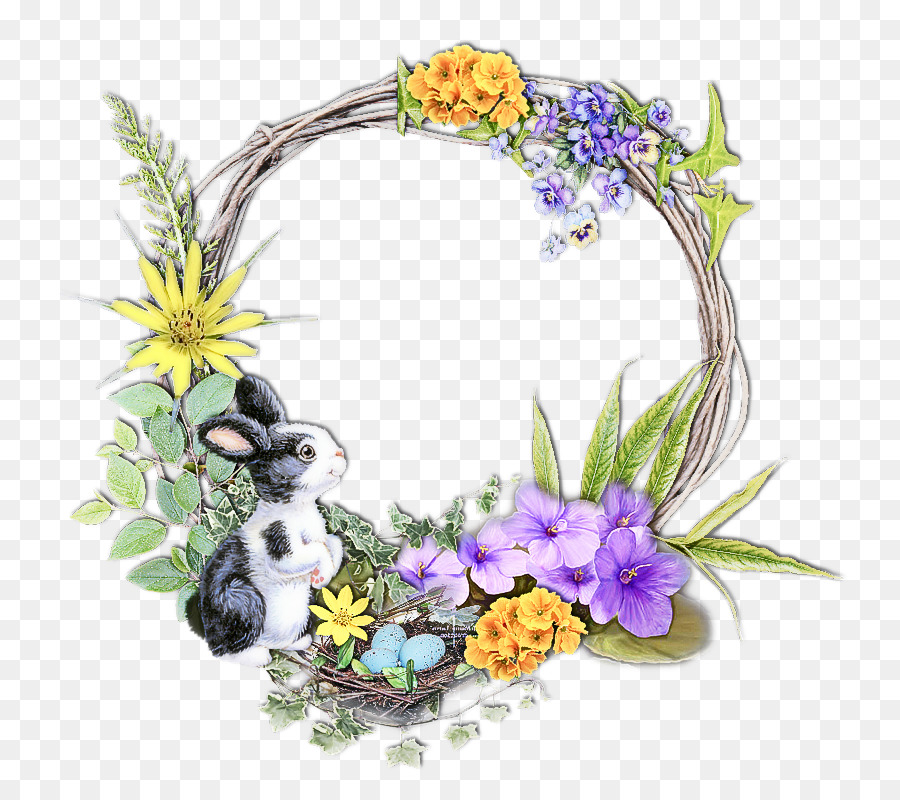 fiore pianta wildflower viola famiglia viola - 