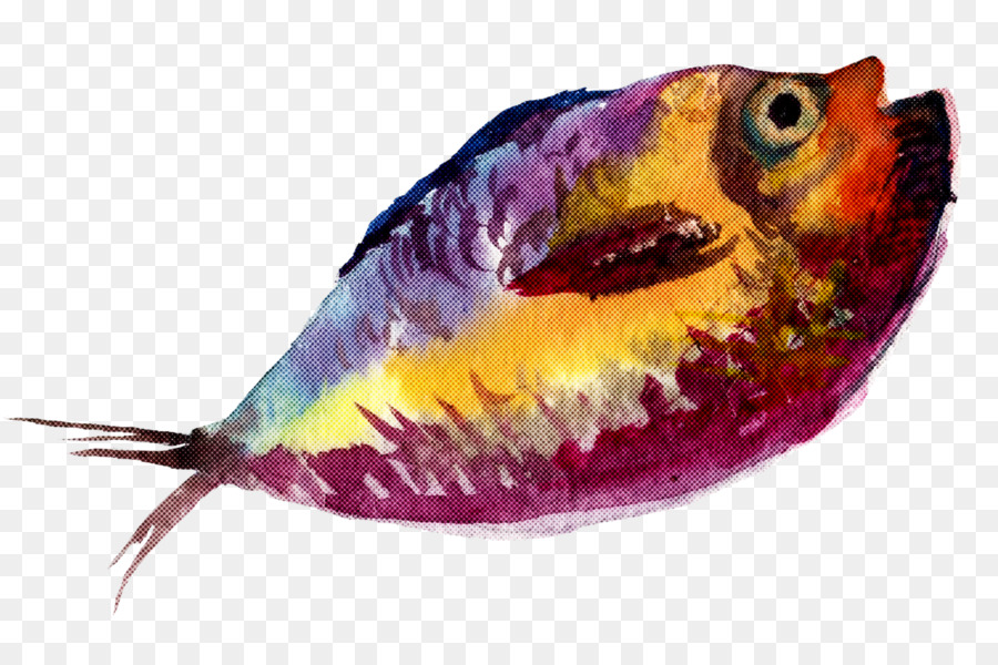 pesce pesce pesce pappagallo - 