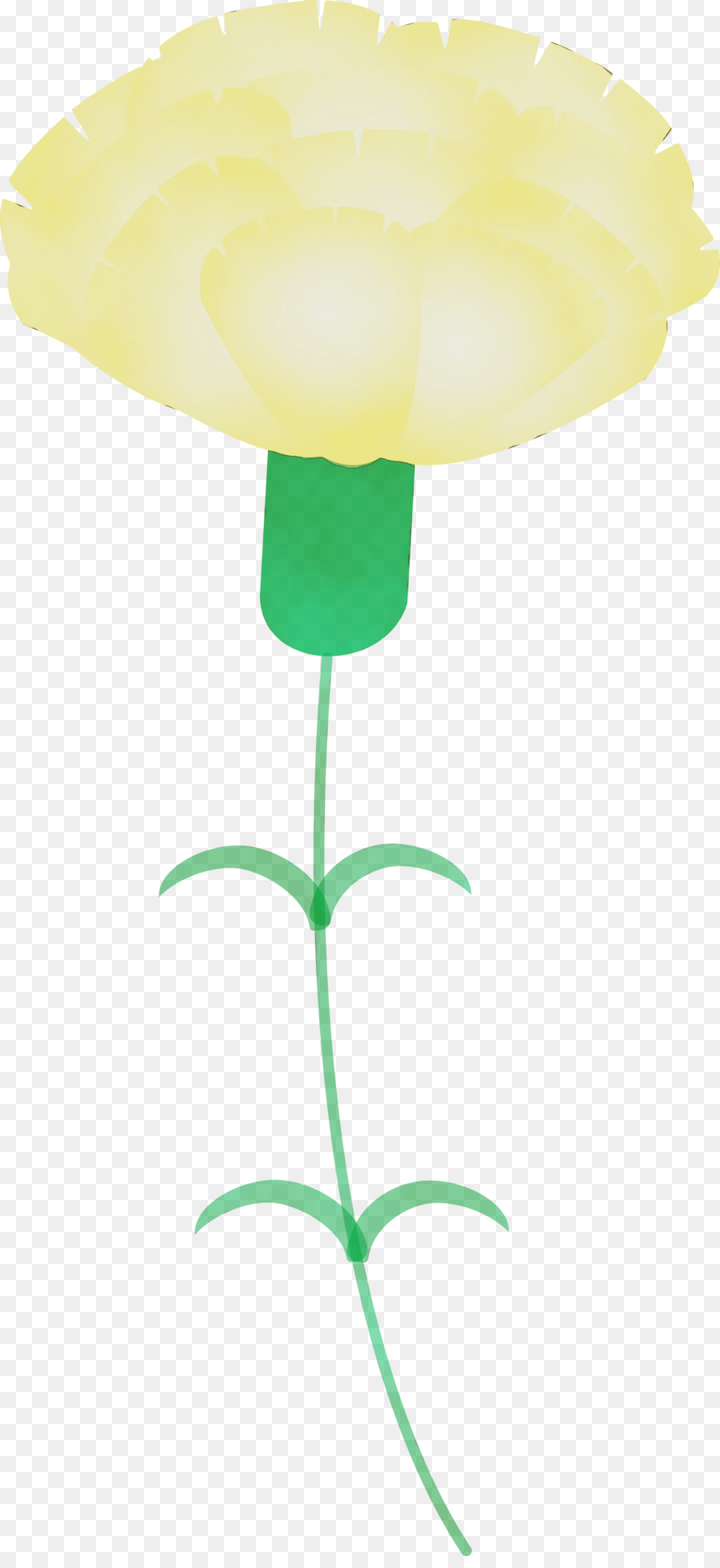 gambo giallo della pianta del tulipano del fiore della pianta - 