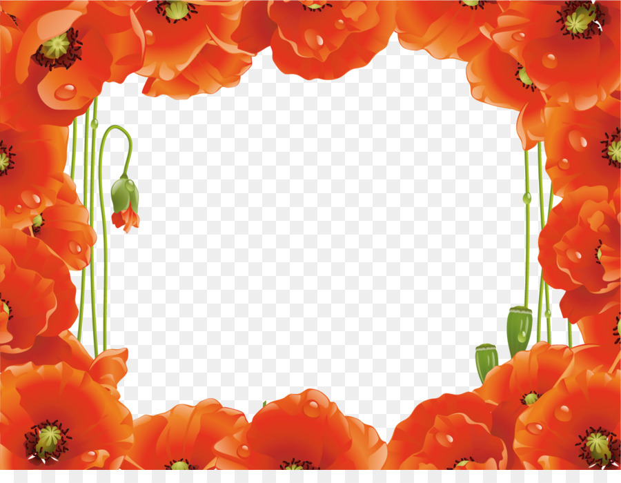 poppy frame flower frame floral frame