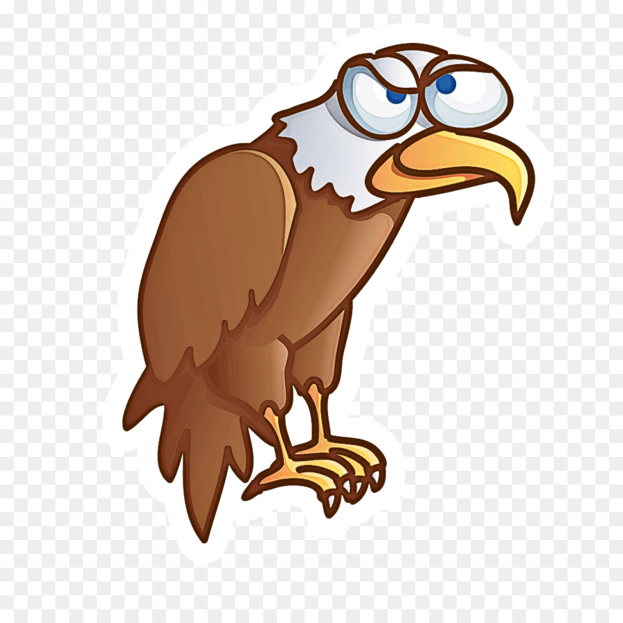 bird bald eagle bird of prey eagle beak png download - 1001*1001 - Free  Transparent Bird png Download. - CleanPNG / KissPNG