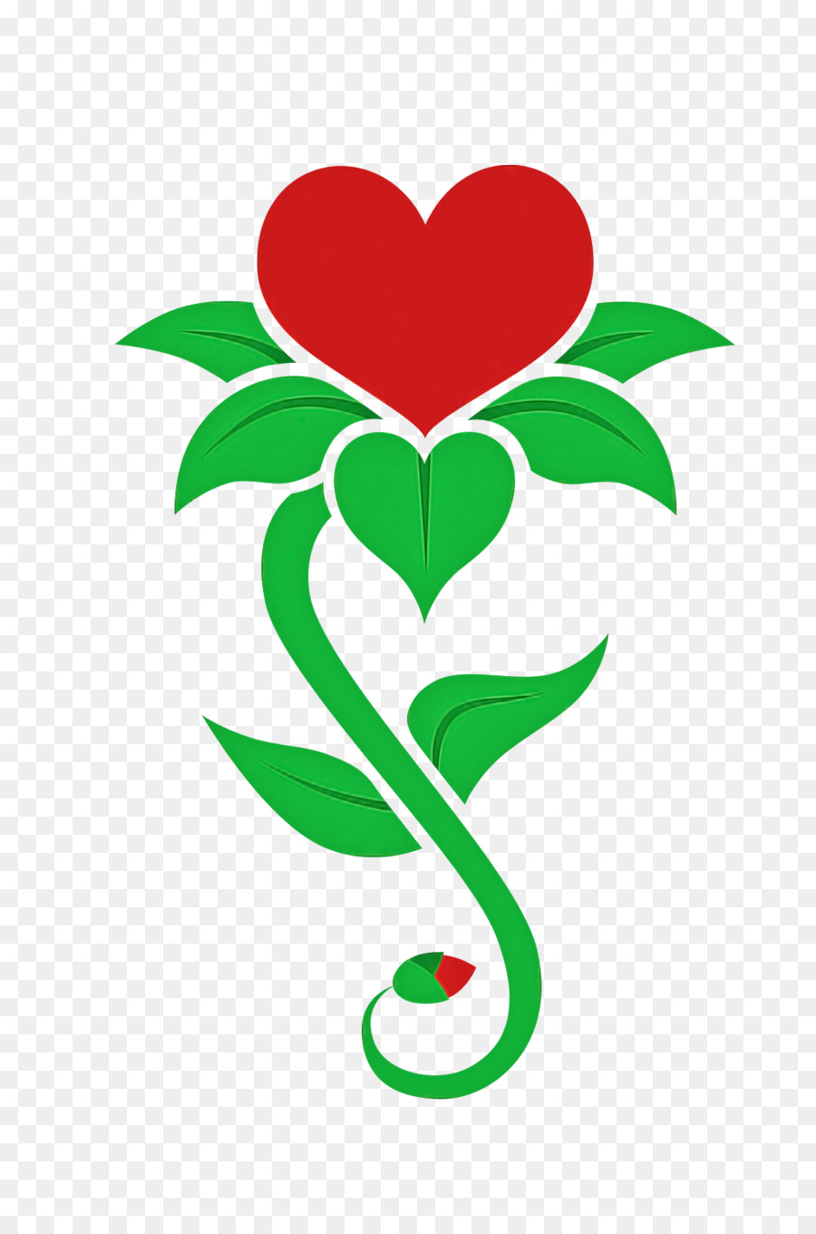 cuore verde del fiore della pianta della foglia - 