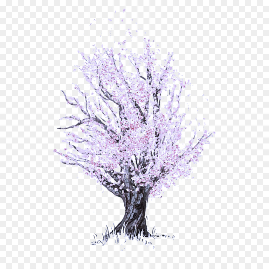 cây cành cây thân gỗ màu tím - 
