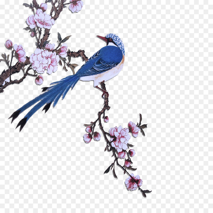 bird mountain bluebird ramo bluebird uccello azzurro orientale - 