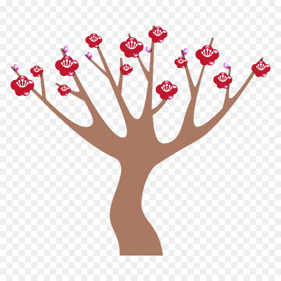 Pflaumenbaum Pflaumenwinterblume - 