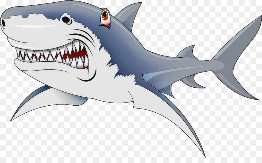 cá mập - 