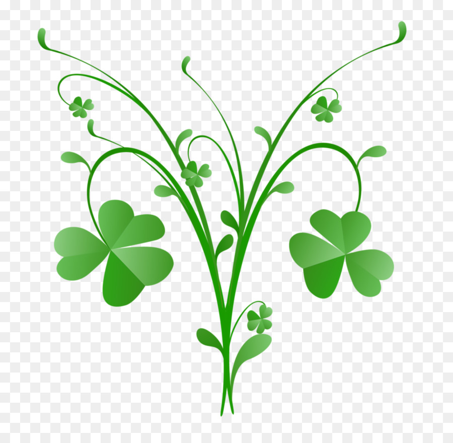 St. Patrick's Day Shamrock Rebe - 