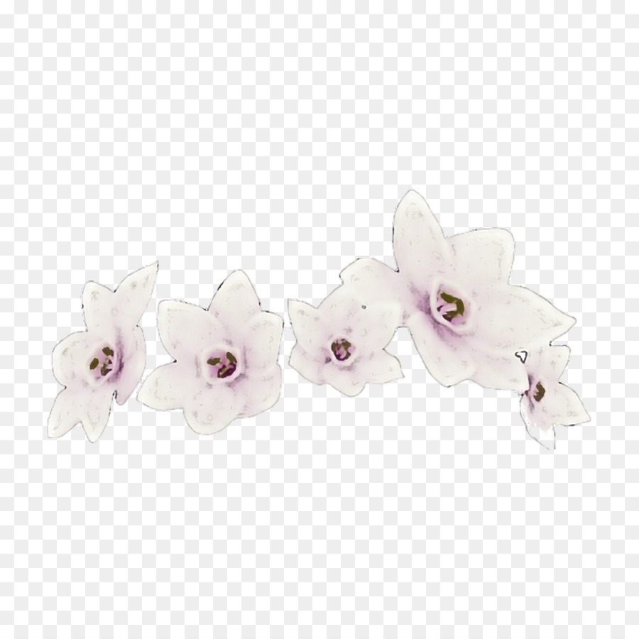 weißviolett rosa lila Blume - 