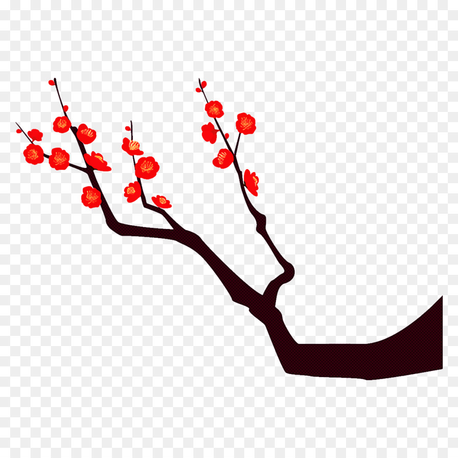 ramo di prugna prugna fiore d'inverno - 