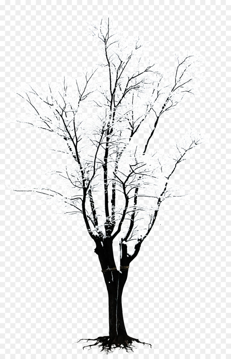 cành cây thân cây - 