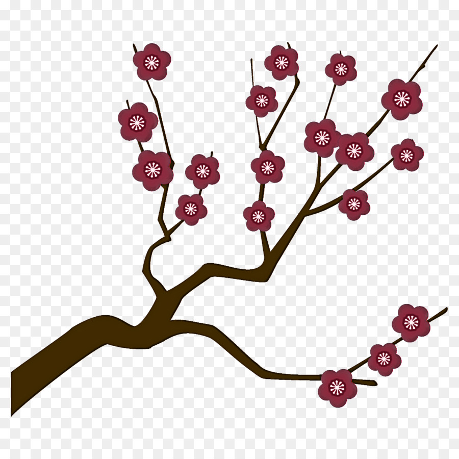 plum branch plum winter flower