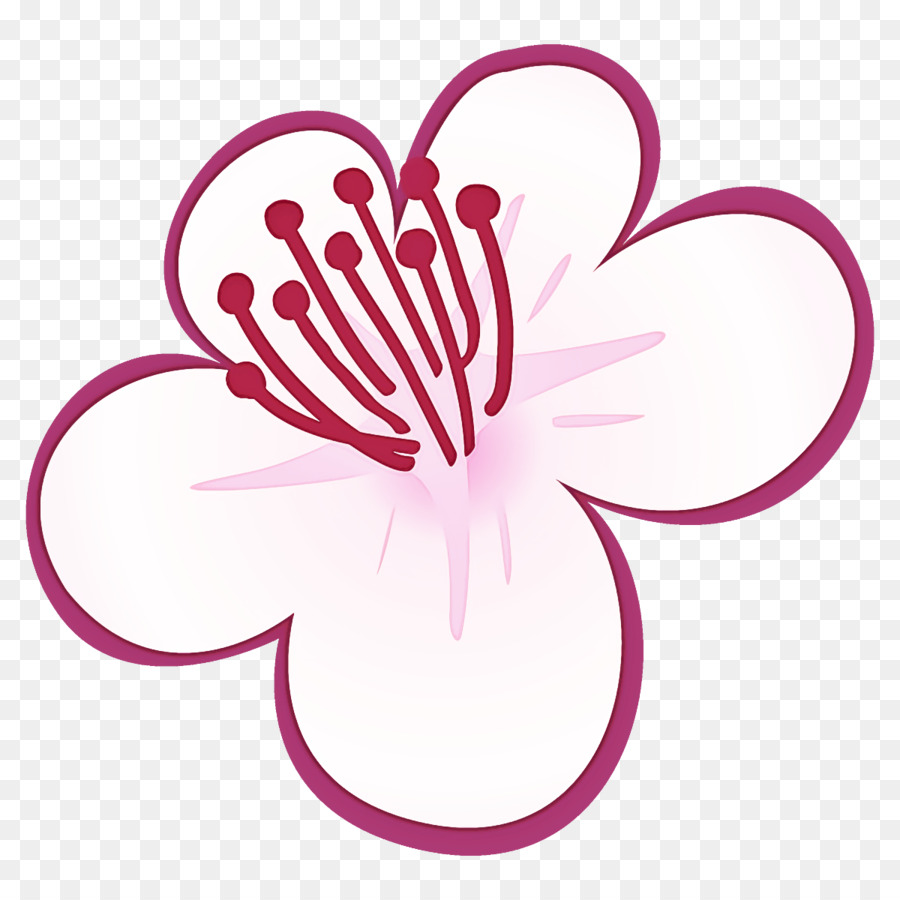 Pflaumenblüten Pflaumenwinterblume - 