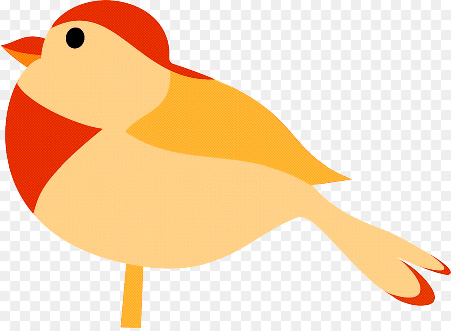 Vogelschnabel europäischen Rotkehlchen Singvogelfink - 