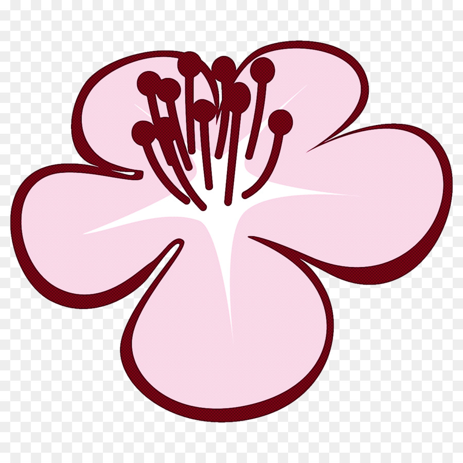 Pflaumenblüten Pflaumenwinterblume - 