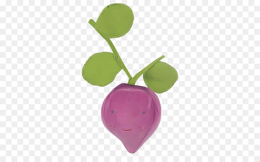 violet purple radish leaf plant