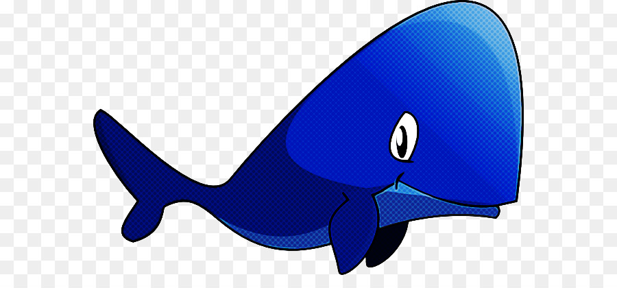 Blauer Flossenfisch Wal Cetacea - 