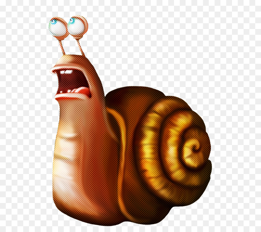 snails and slugs snail sea snail lymnaeidae still life