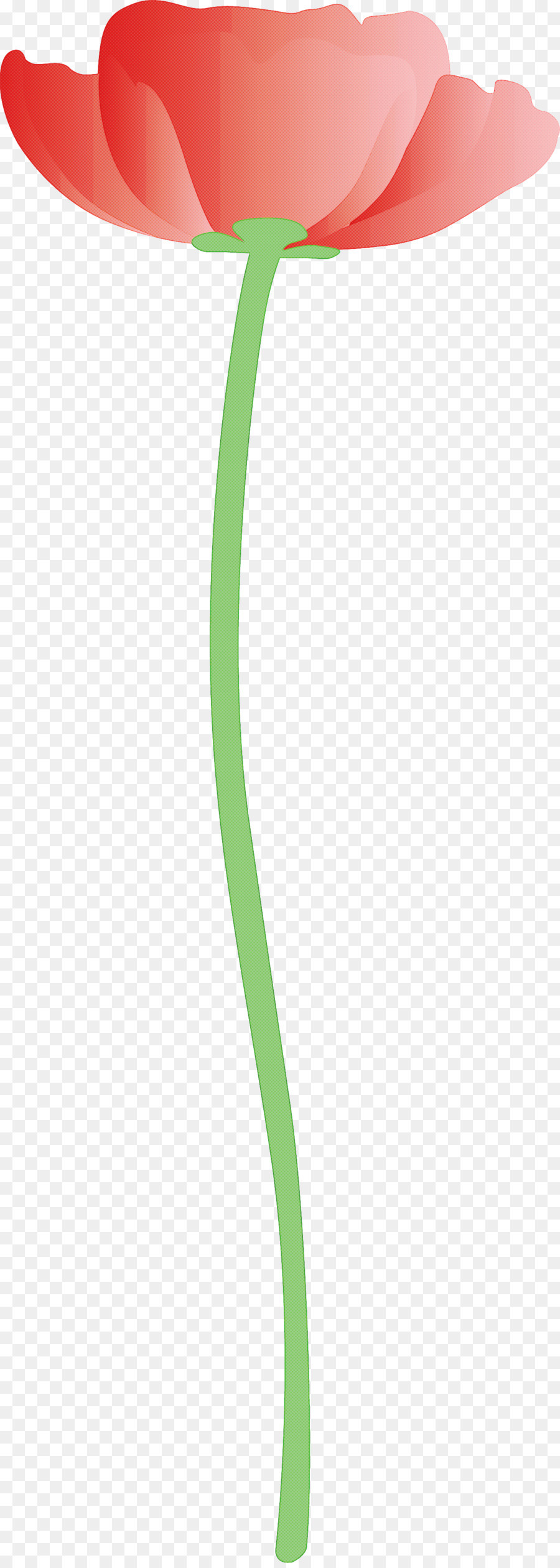 linea verde pianta a foglia - 
