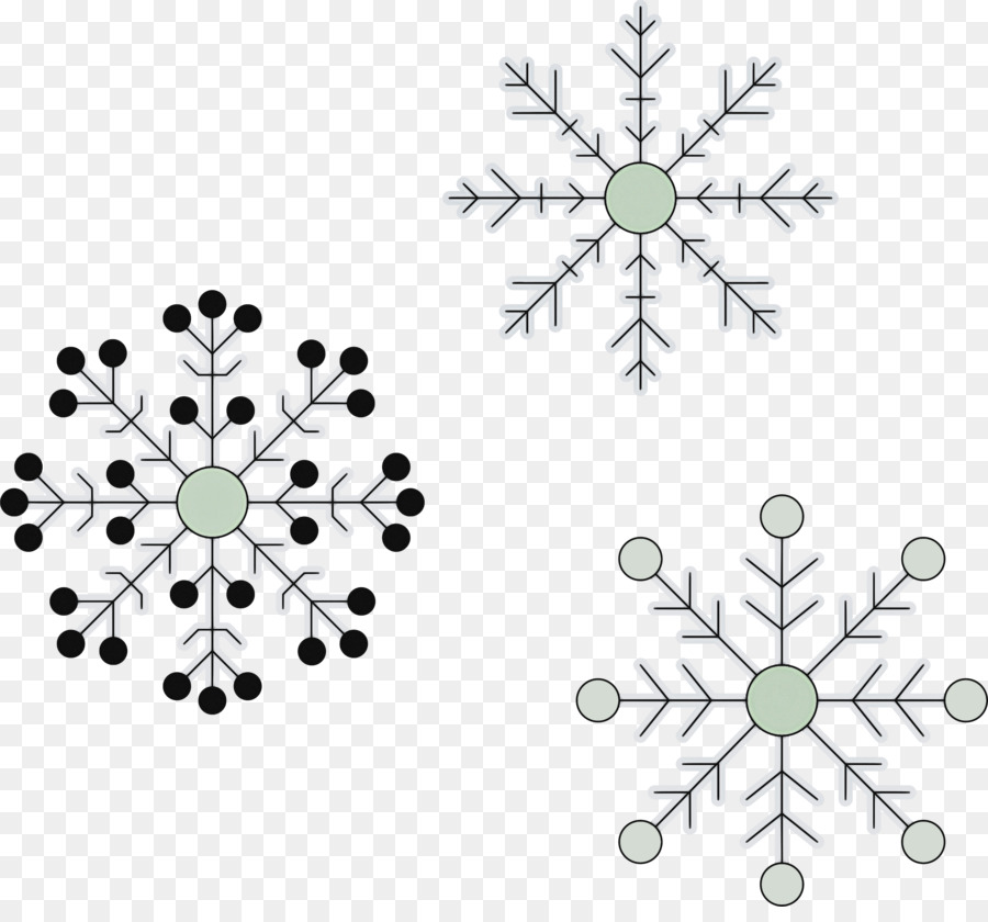 pattern pedicel ornament plant symmetry
