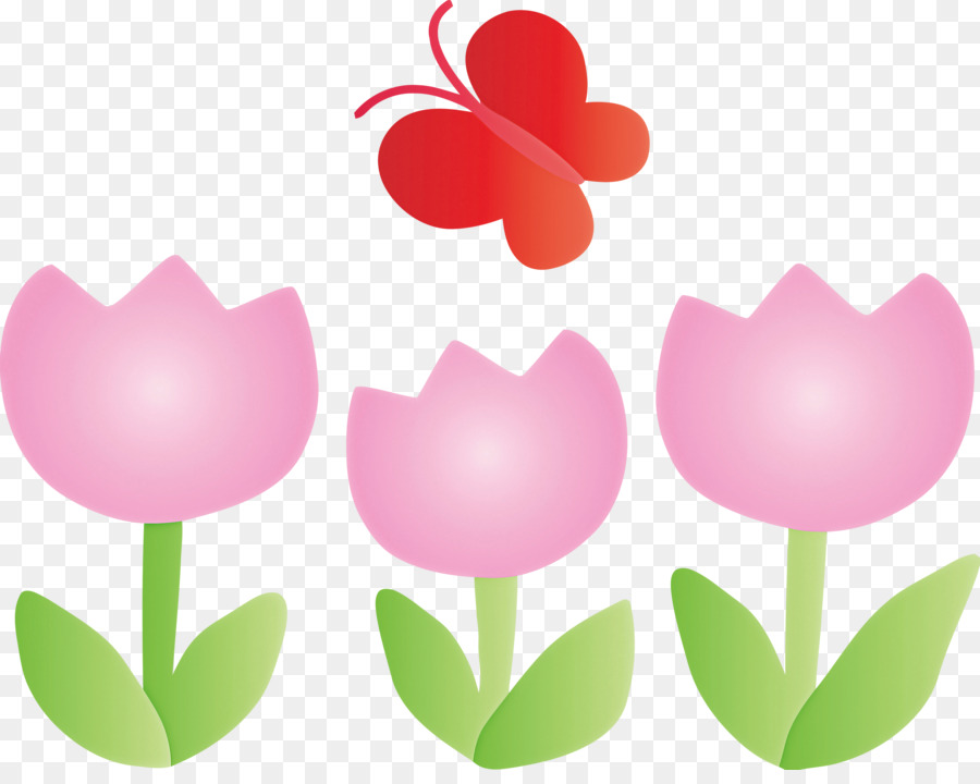farfalla tulipano - 