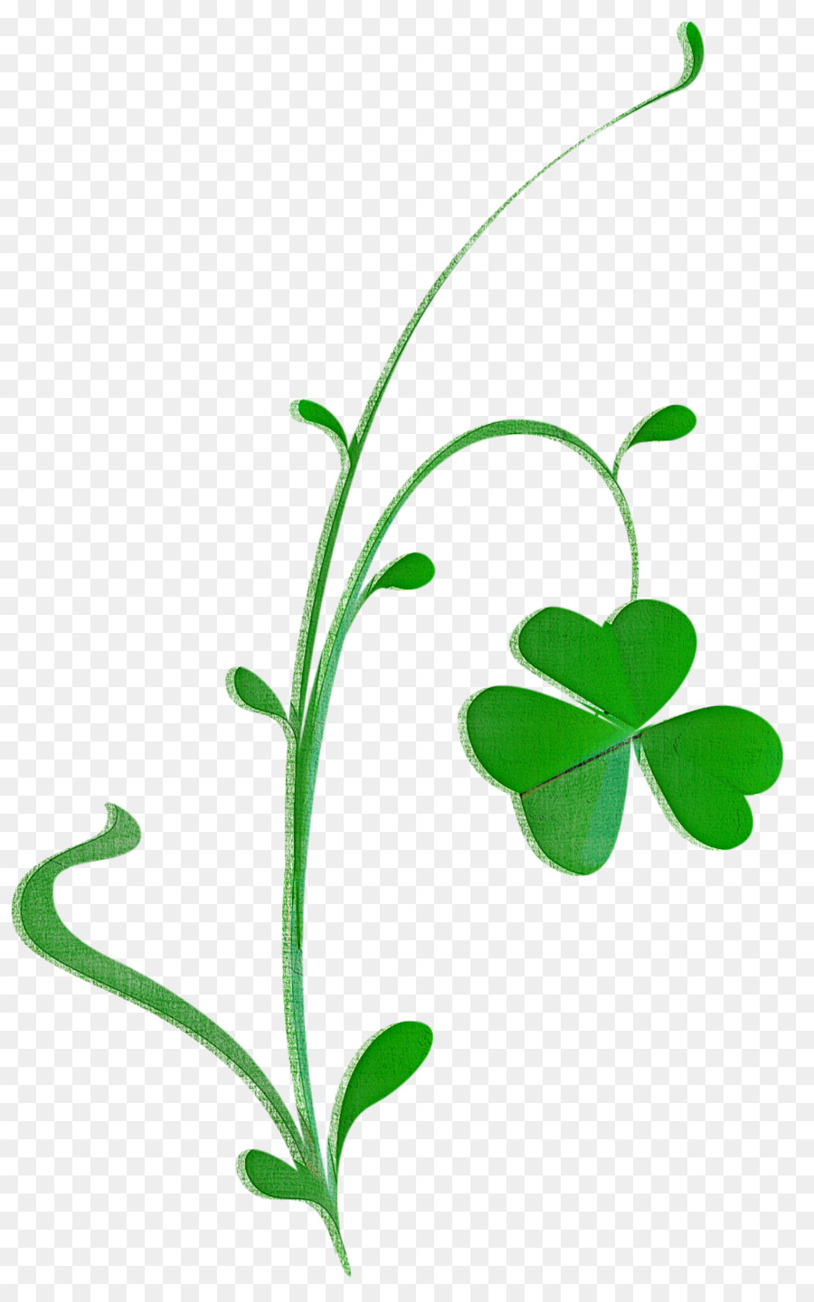 St. Patrick's Day Shamrock vine