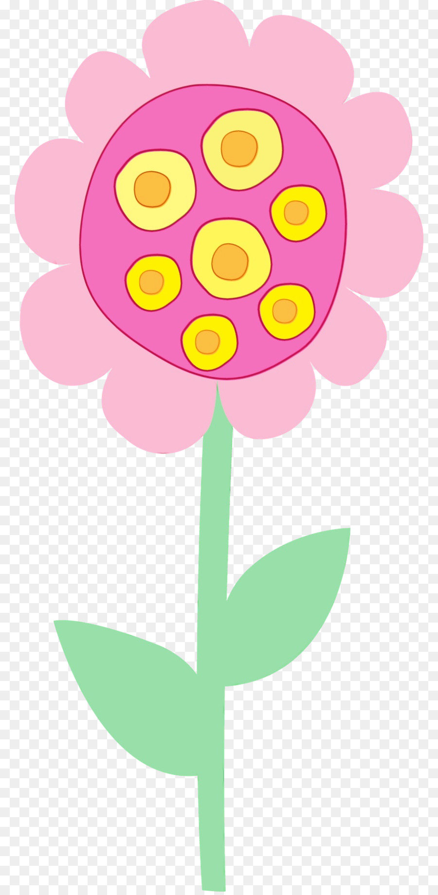pink yellow plant flower magenta