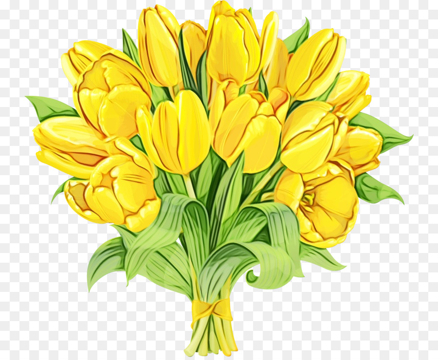 fiore giallo fiori recisi pianta petalo - 