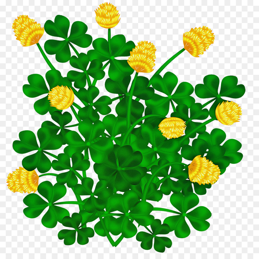 Saint Patrick Saint Patrick's Day Paddy's Day