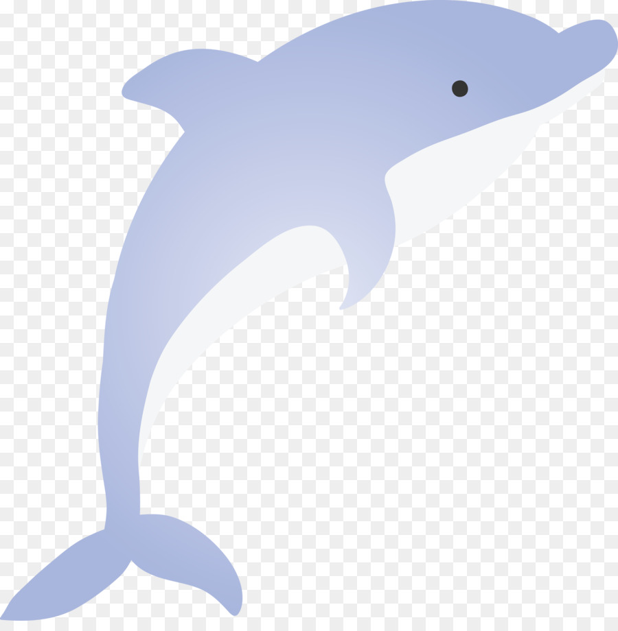 cá heo mũi chai cá heo cetacea hình con vật - 