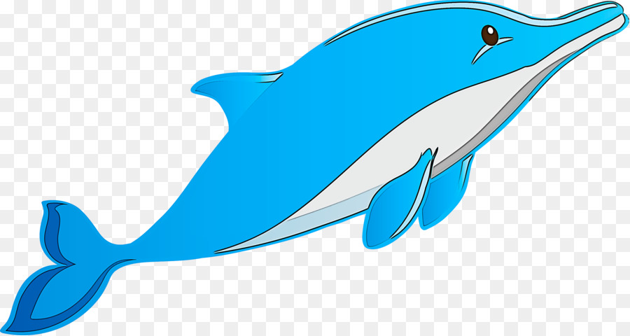 Bottlenose Delfin Fin Delfin Cetacea Gemeine Delfine - 
