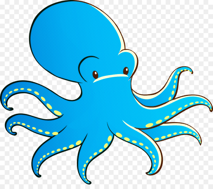 octopus giant pacific octopus aqua octopus turquoise