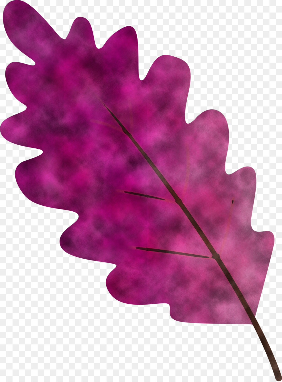 Blatt rosa lila violette Pflanze - 