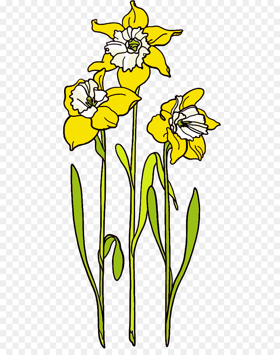 gambo della pianta del narciso della pianta gialla del fiore - 