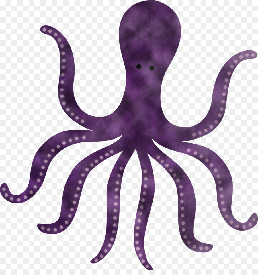 bạch tuộc khổng lồ bạch tuộc thái bình dương bạch tuộc màu tím - 