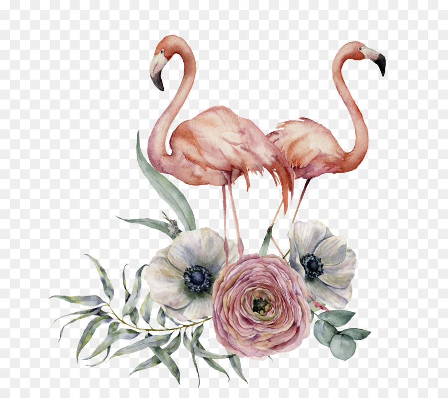 Flamingo - Brasilien Flamingo Blume