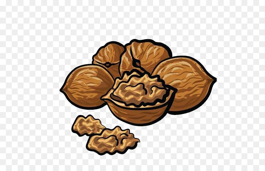 nut plant tree walnut food