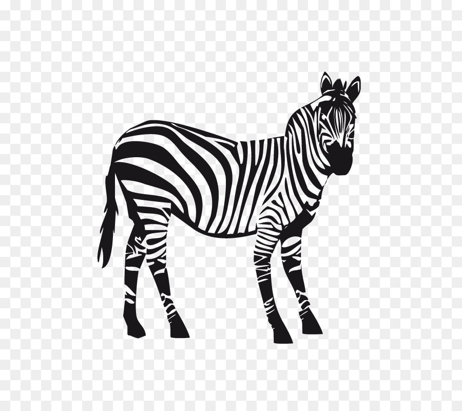 decal dán tường decal zebra quagga - phố động vật
