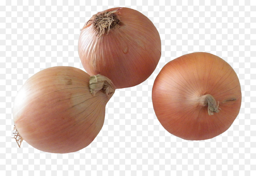 yellow onion shallot onion vegetable food
