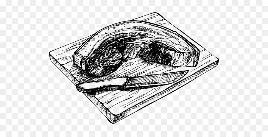 Skizze Zeichnung Strichzeichnung Kiefer - Blatt Schweinebauch
