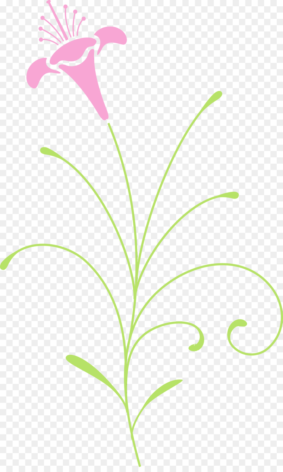 peduncolo del gambo della pianta della pianta del fiore della foglia - 