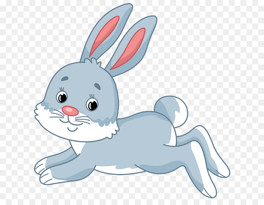 cartoon rabbit rabbits and hares nose hare png download - 690*688 - Free  Transparent Cartoon png Download. - CleanPNG / KissPNG